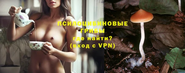 бошки Беломорск