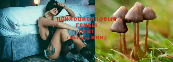 бошки Беломорск