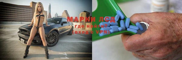 мяу мяу мука Белокуриха