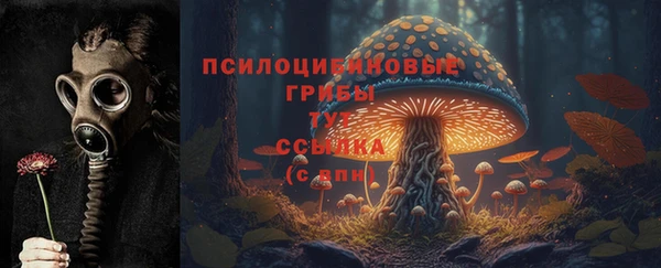 Альфа ПВП Богородицк