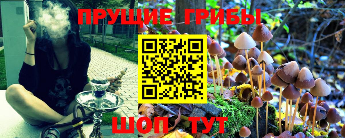 NBOMe Великие Луки
