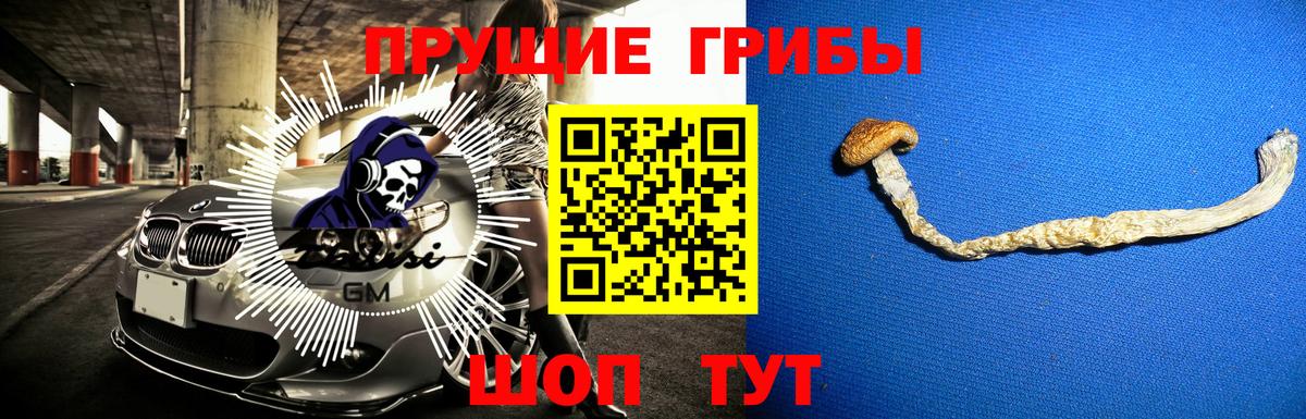 Великие Луки  где купить наркоту  Вход с VPN  Галлюциногенные грибы Magic Shrooms  Псилоцибиновые грибы Magic Shrooms 