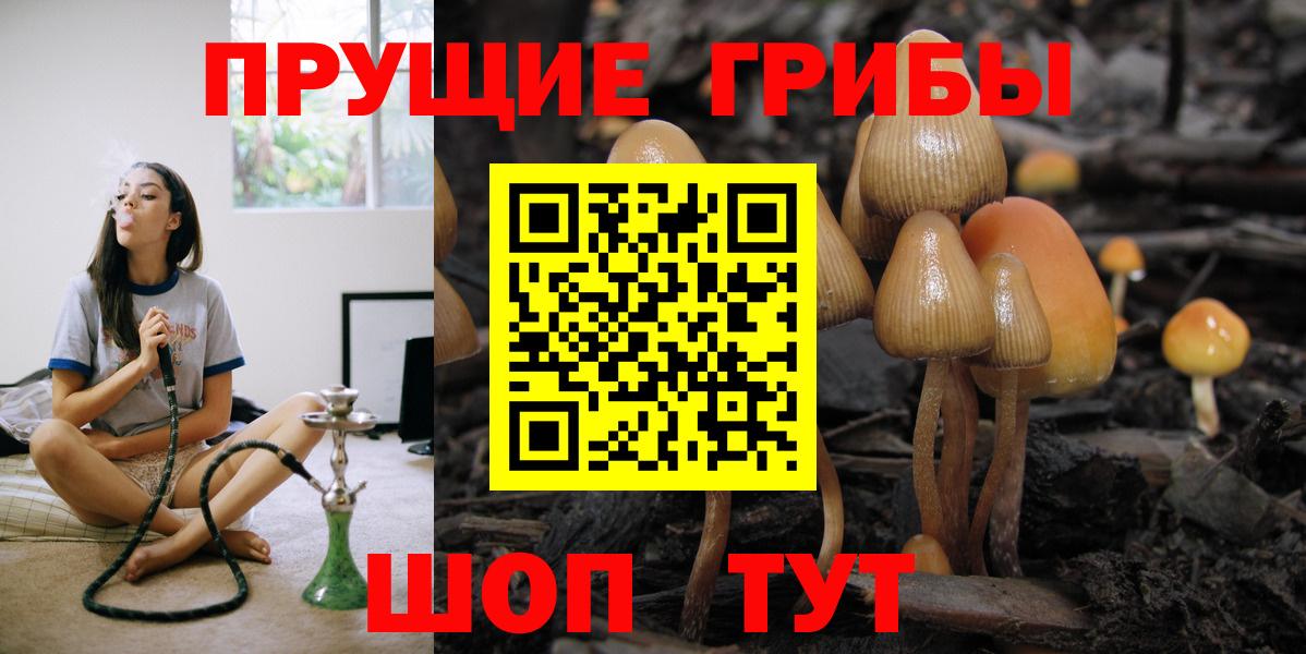 Псилоцибиновые грибы мицелий Великие Луки